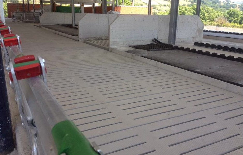 Büyükbaş Ahır Prefabrik Betonarme Izgara — Ahırda Montaj